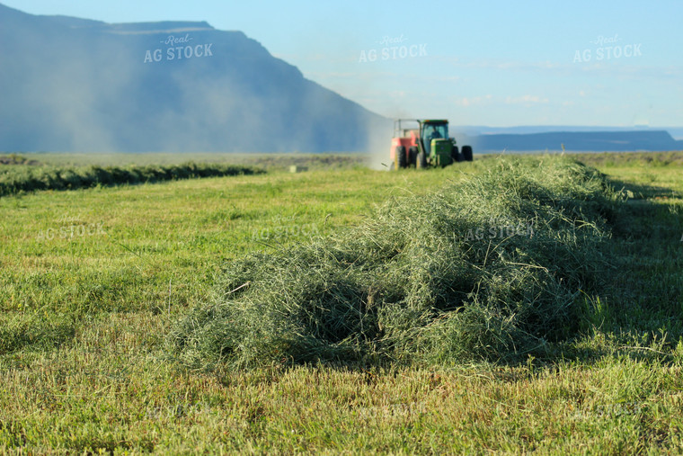 Baling Summer Hay Alfalfa and Mixed Grass 78140