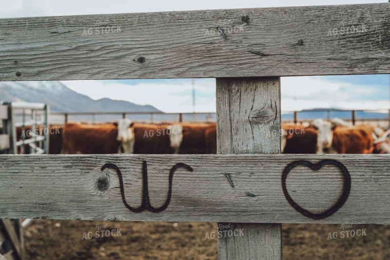 Branded Cattle Fence 78161