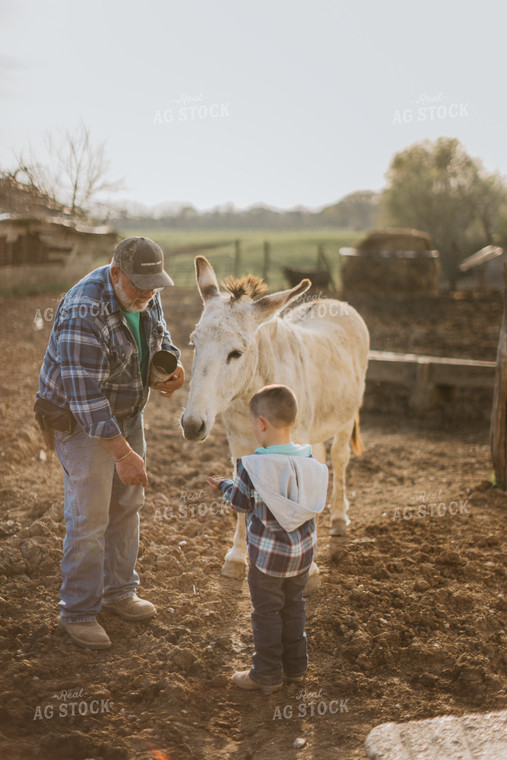 Farmer and Farm Kid with Donkey 7395