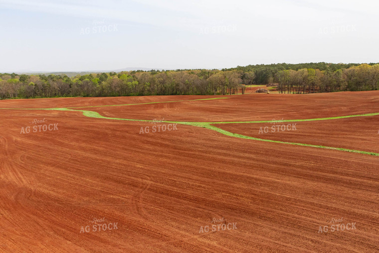 Aerial View of Farmland 79256