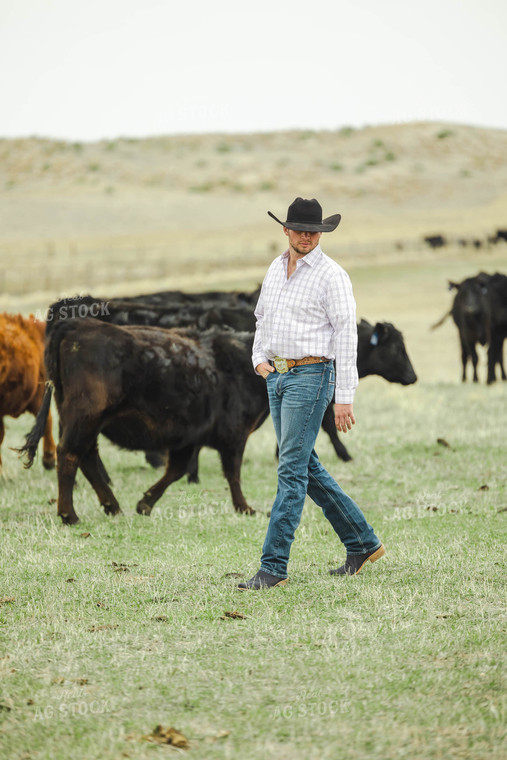 Rancher in Pasture with Cattle 114064