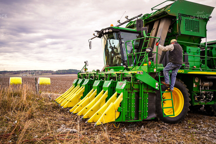 Cotton Picker in Field 128008