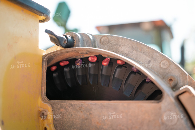 Seed Disk Inside of Planter 128020