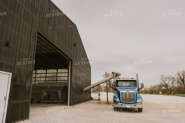 Truck Sits Outside Dry Feed Storage Shed 7519