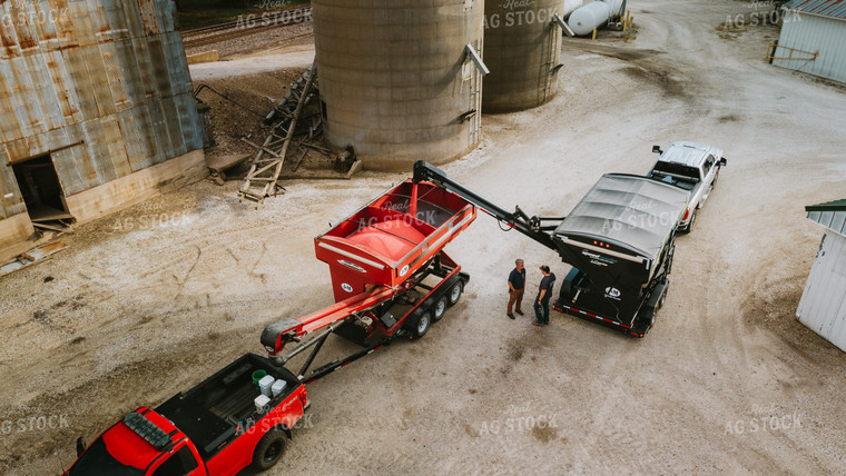 Farmers Talk as Treated Corn Seed Dumps into Tender 7634