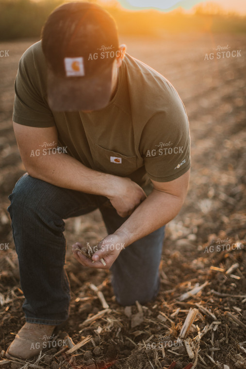 Farmer Checks Soil 7718