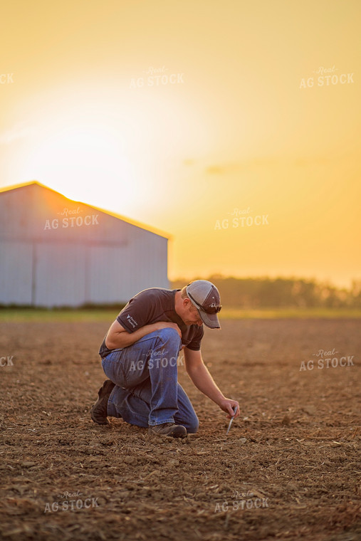 Farmer Checks Seed Depth After Planting 93199