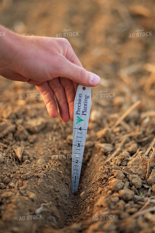 Farmer Checks Seed Depth After Planting 93202