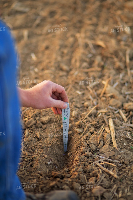 Farmer Checks Seed Depth After Planting 93203