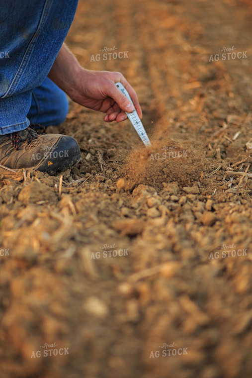 Farmer Checks Seed Depth After Planting 93206