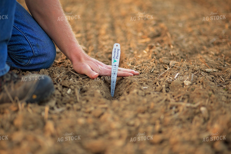 Farmer Checks Seed Depth After Planting 93208