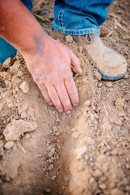 Farmer Checks Seed Depth Behind Planter 56651