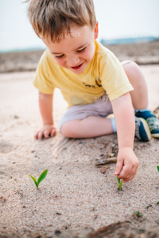 Young Boy Plays in Sandy Soil of a Freshly Planted Corn Field 56658