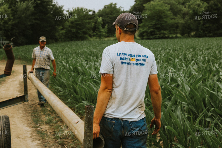 Farmers Lining Up Irrigator Pipes 101036