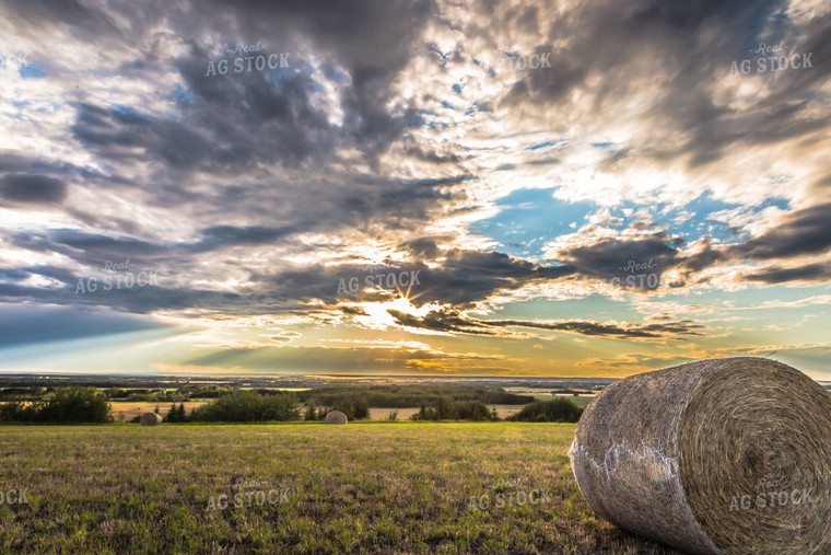 Grass Bales Stand in Field at Sunset 138028