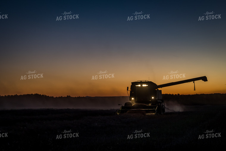 Combine Harvesting Dried Canola Field After Sunset 138049