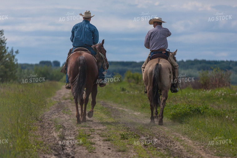 Ranchers Ride Horseback Along Dirt Path 138058