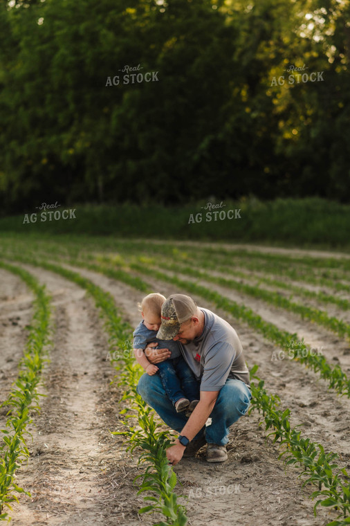 Father & Son Checking Early Growth Corn Field 115062