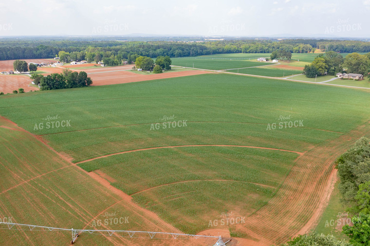 Aerial View of Pivot Irrigated Corn Field 79305