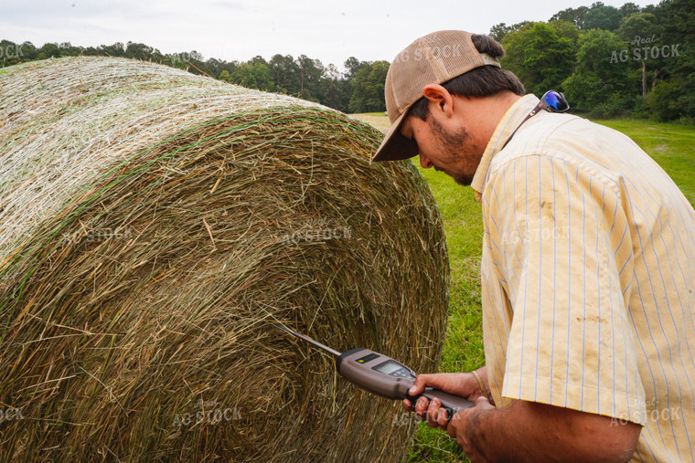 Farmer Testing Moisture of Baled Hay 128028