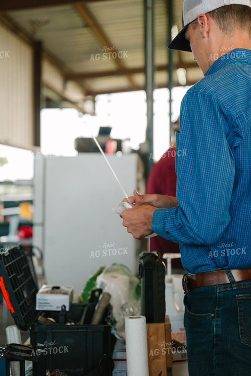 Rancher Preparing Artificial Insemination (AI) Sample 125122