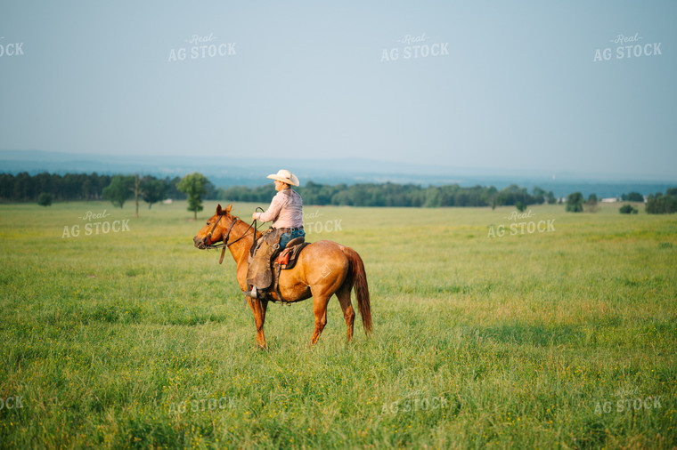 Rancher Rides Horses in Pasture 125132