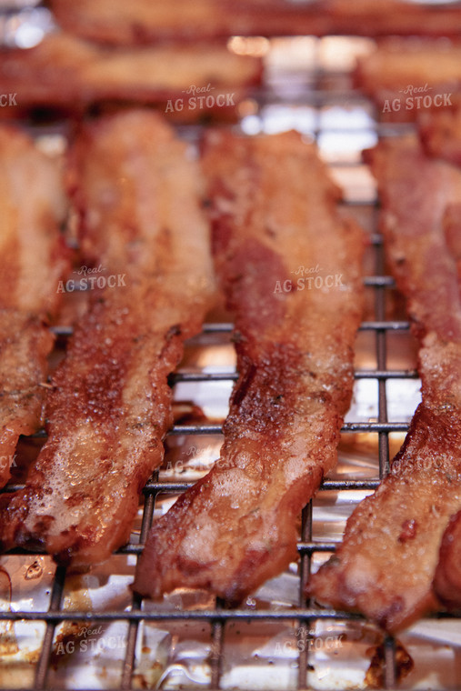 Bacon Frying on Rack 67332