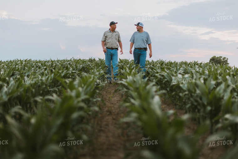 Farmers Scouting Corn Field 7814