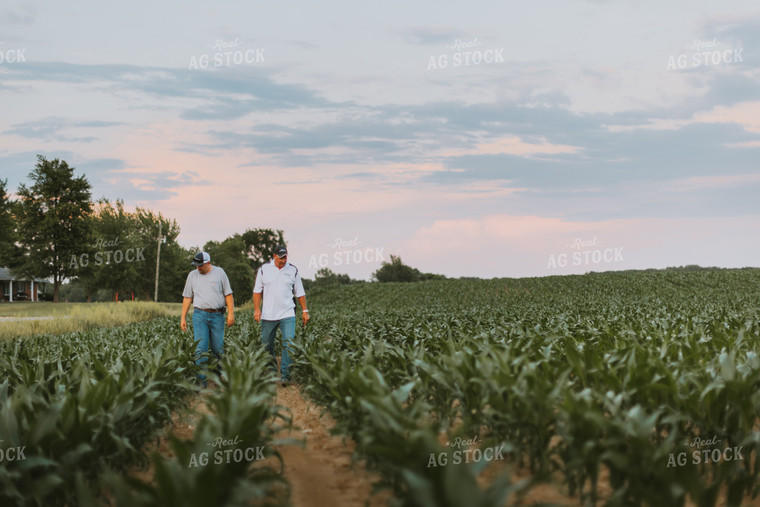 Farmers Scouting Corn Field 7819