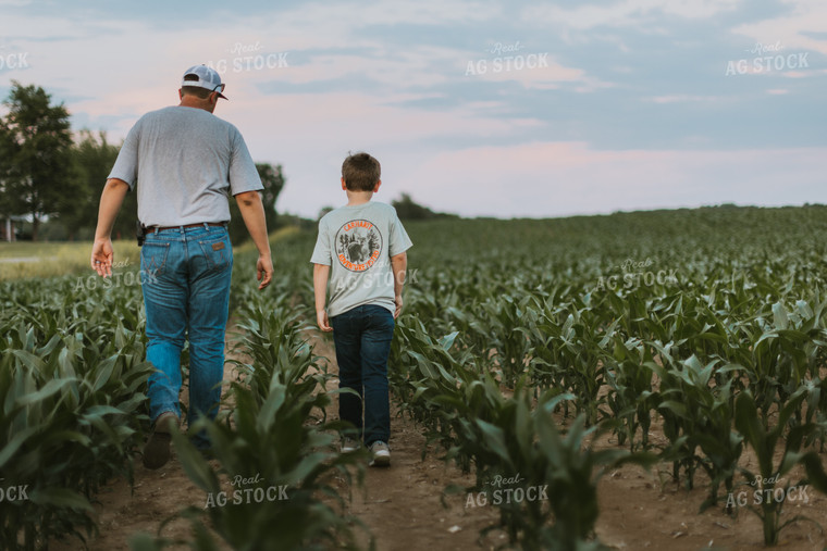 Farmer and Son Scouting Corn Field 7826