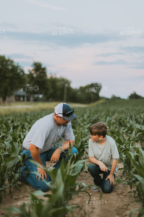 Farmer and Son Scouting Corn Field 7831