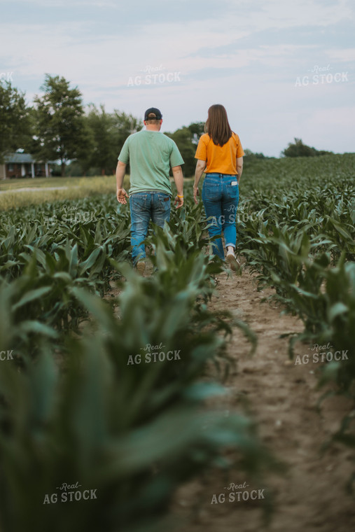 Farmers Scouting Corn Field 7837