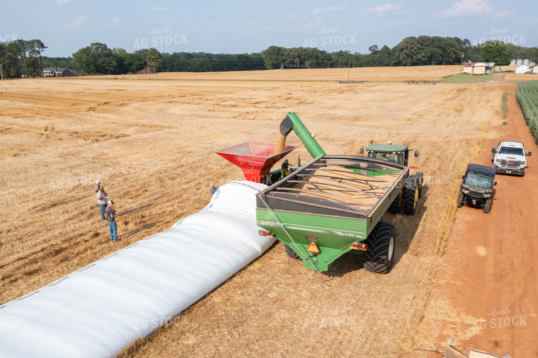 Soybean Harvest Flat Storage 79324