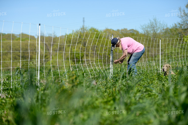 Female Farmer Fixing Fence 129021