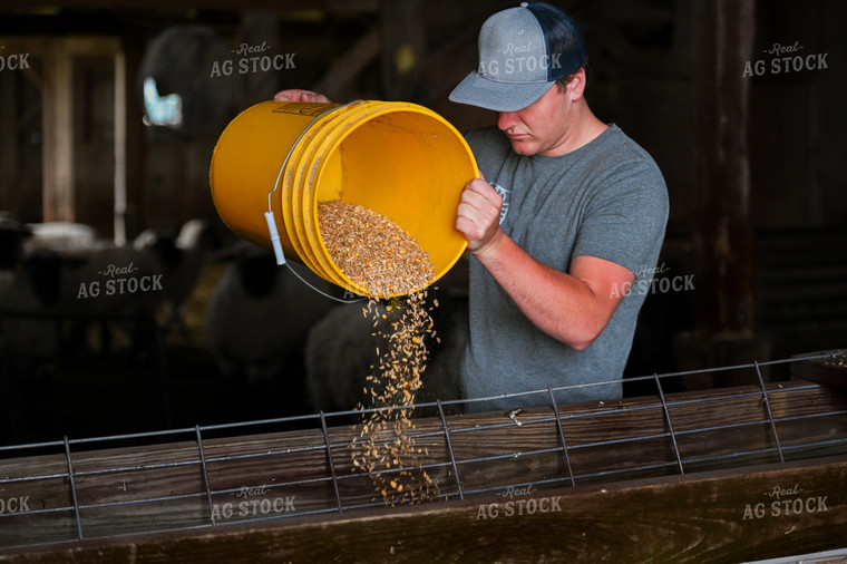 Rancher Pouring Feed 90103