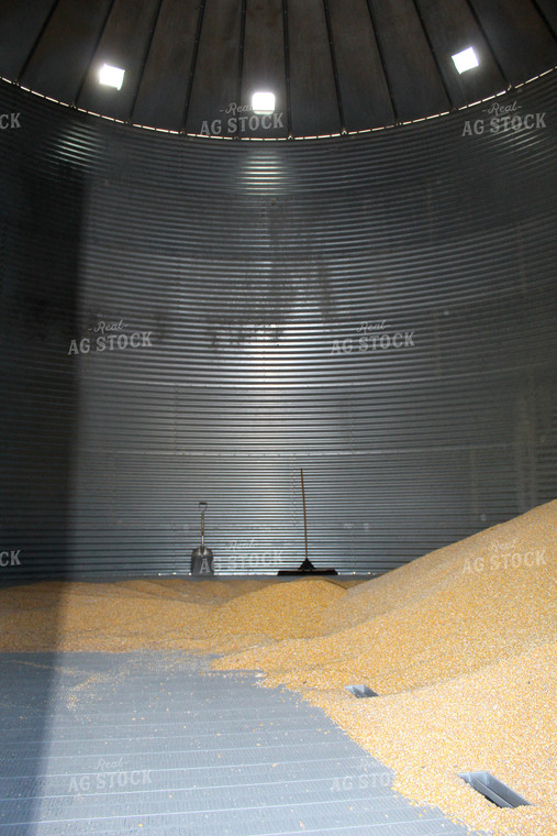 Inside Grain Bin 141009