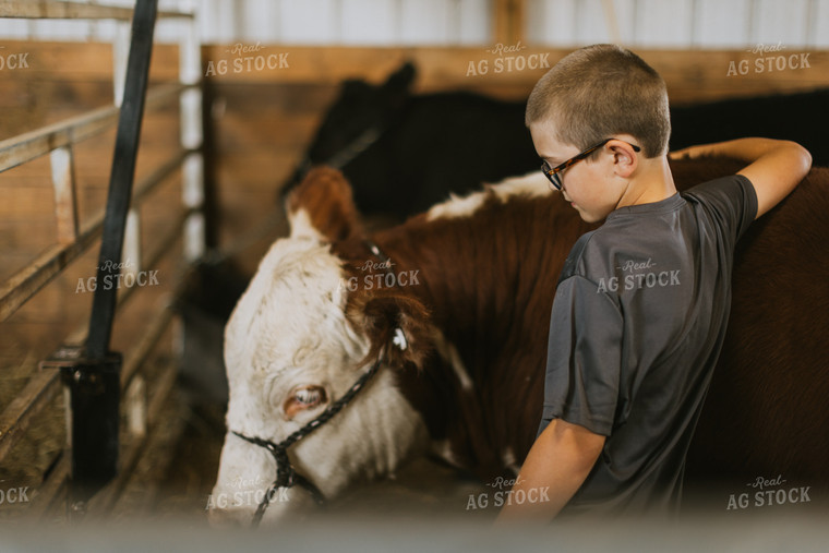 Farm Kid with Show Cow 7873