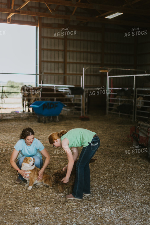 Female Farmer and Kid with Farm Dogs 7881