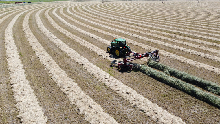 Raking Hay 146022