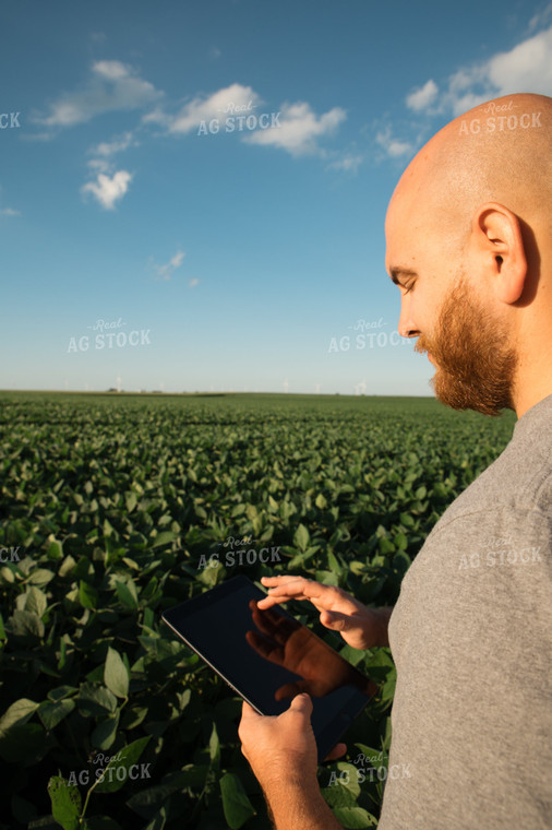 Farmer on iPad in Soybean Field 25971