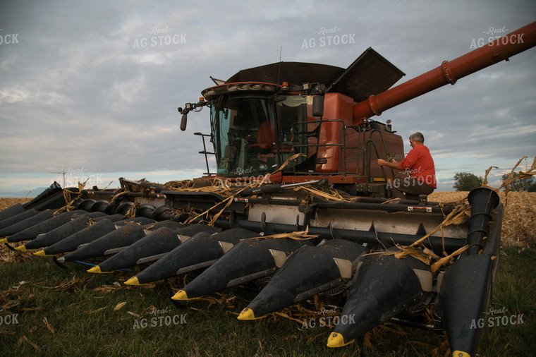 Farmer on Combine During Corn Harvest 26028