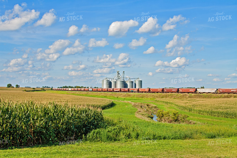 Corn Field with Train and Grain Bins 150007