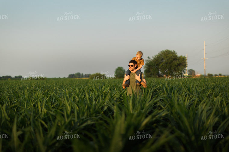Father and Son in Corn Field 8152