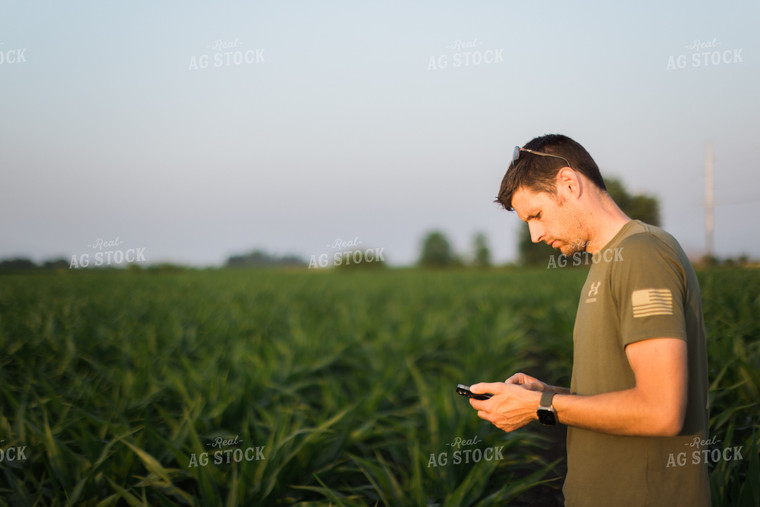 Young Farmer Using Phone in Corn Field 8156