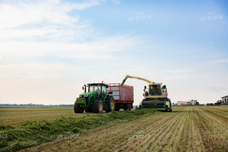 Chopping Silage 152004