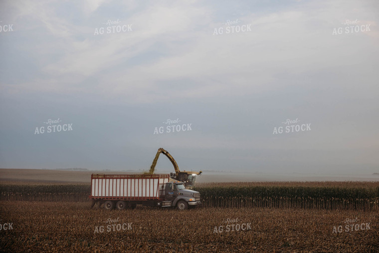 Chopping Corn Silage 152017