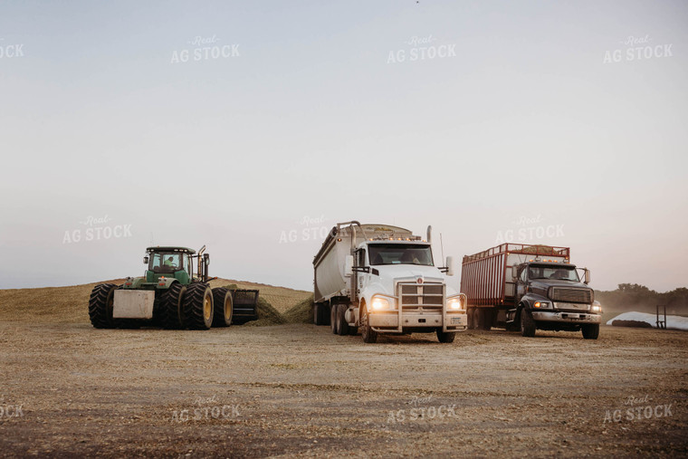 Dumping Silage 152059