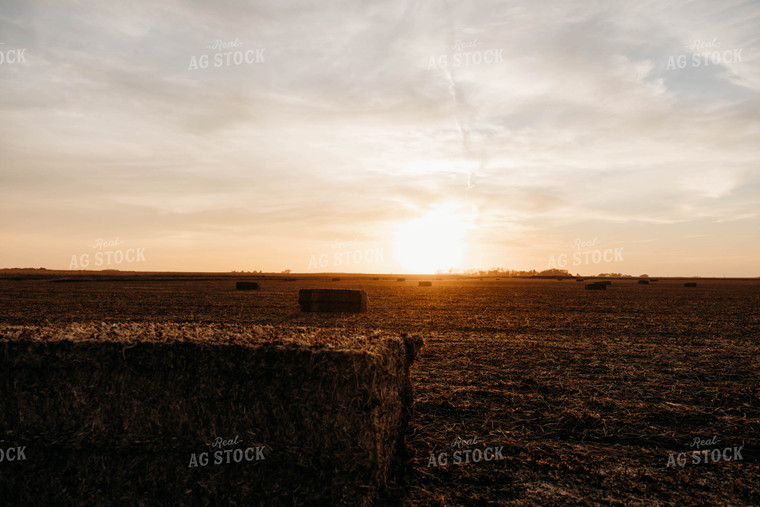 Wheat Straw Bales in Sunset 152075