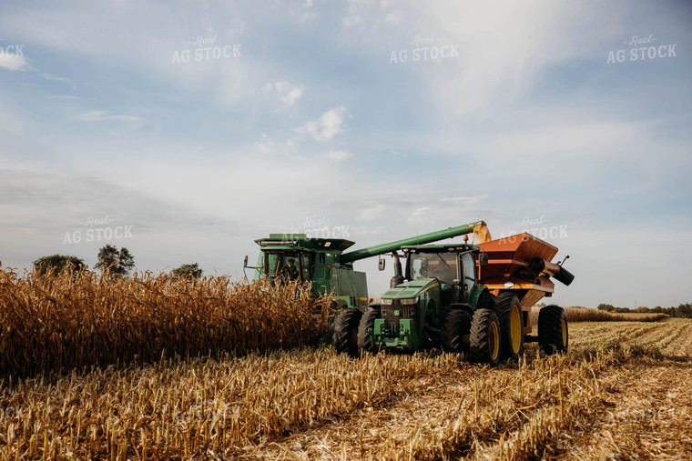 Corn Harvest 152112