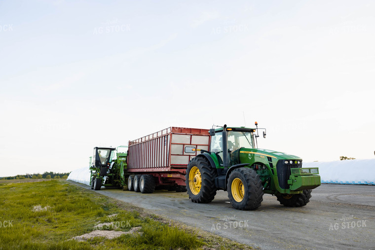 Storing Silage 152125